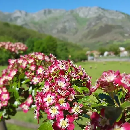 Hotel Rural El Secreto De Julia