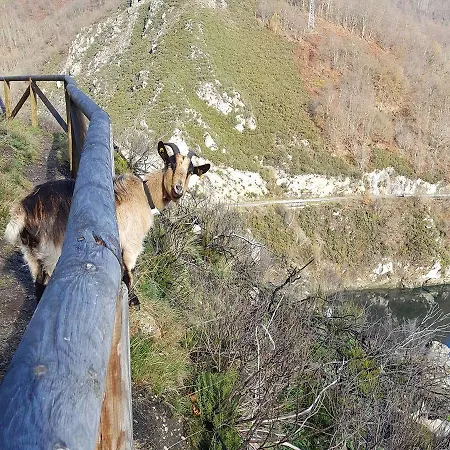 Rural El Secreto De Julia 2*