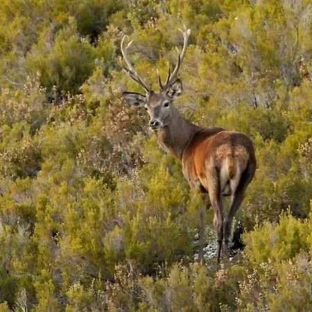 Rural El Secreto De Julia Hotel Ríoseco